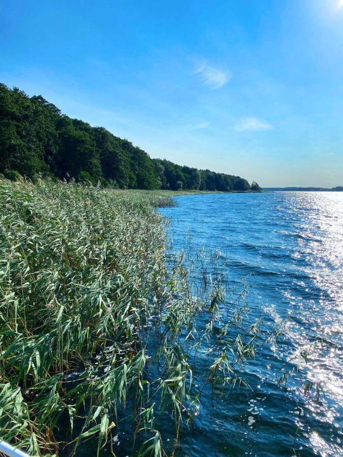 Ferienwohnung In Der Uckermark Am Oberuckersee Ot Warnitz Екстериор снимка